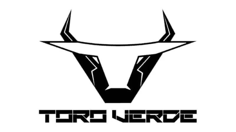 Toro Verde Logo